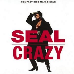 crazy seal devil wears prada|Alanis Morissette .